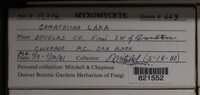 Image Associated With the Occurence